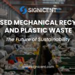 AI-Based Mechanical Recycling and Plastic Waste